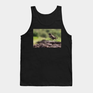 Galapagos Finch Tank Top